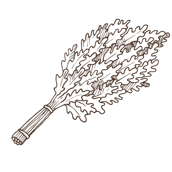 Eucalyptus leaves